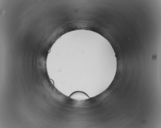 X0000112150575200909181426