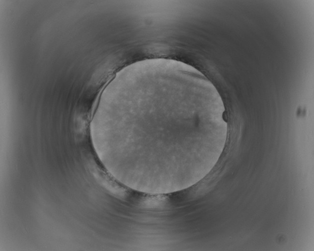 X0000112150576200909181426