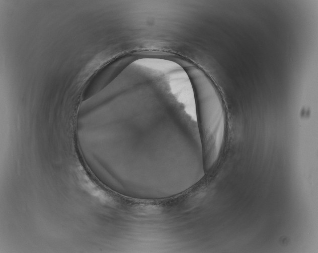 X0000112150577200909181425