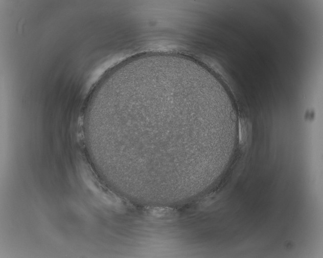 X0000112150579200909181425
