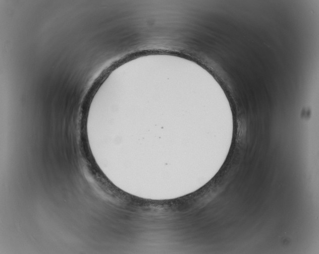 X0000112150580200909181425