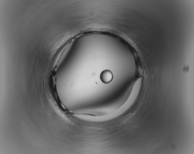 X0000112150581200909181425