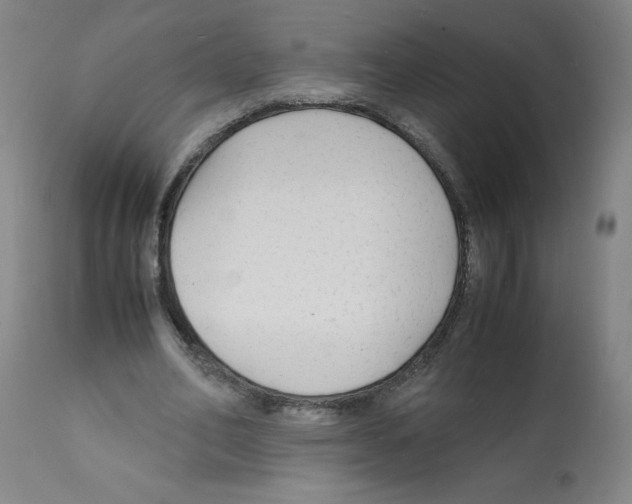 X0000112150582200909181425