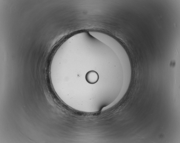 X0000112150587200909181425