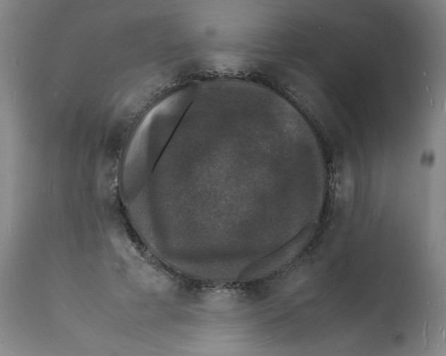 X0000112150593200909181425