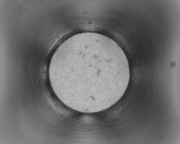 X0000112150596200909181425