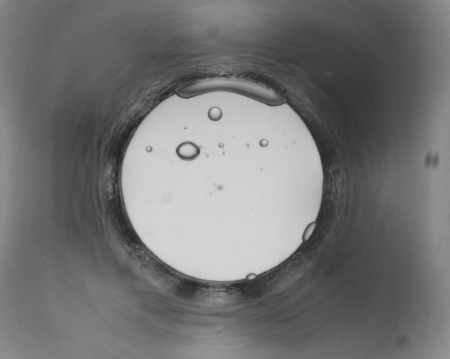 X0000112150597200909181425