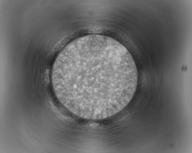 X0000112150598200909181425