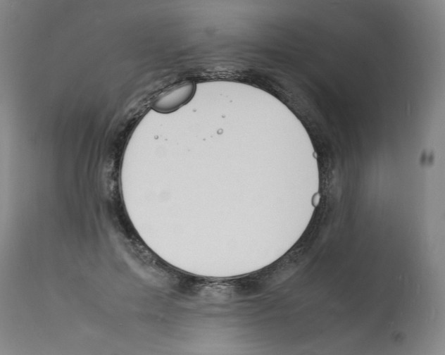 X0000112150599200909181425