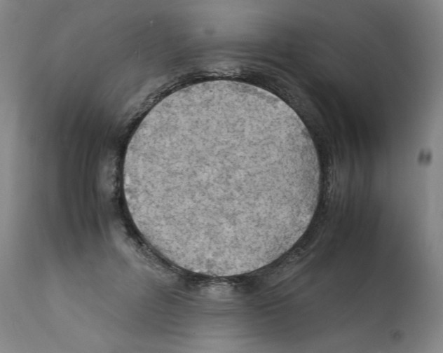 X0000112150600200909181425
