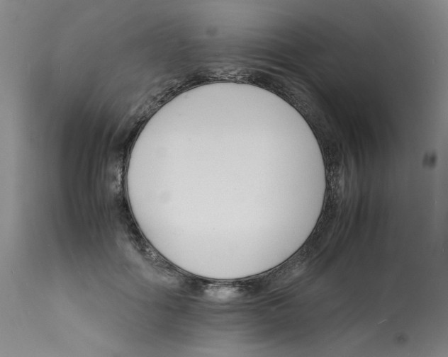 X0000112150602200909181425
