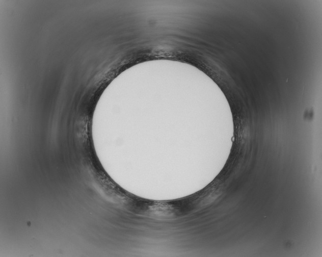 X0000112150603200909181425