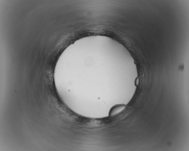X0000112150609200909181425