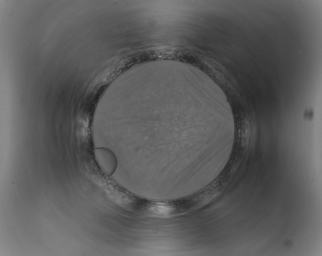 X0000112150610200909181425