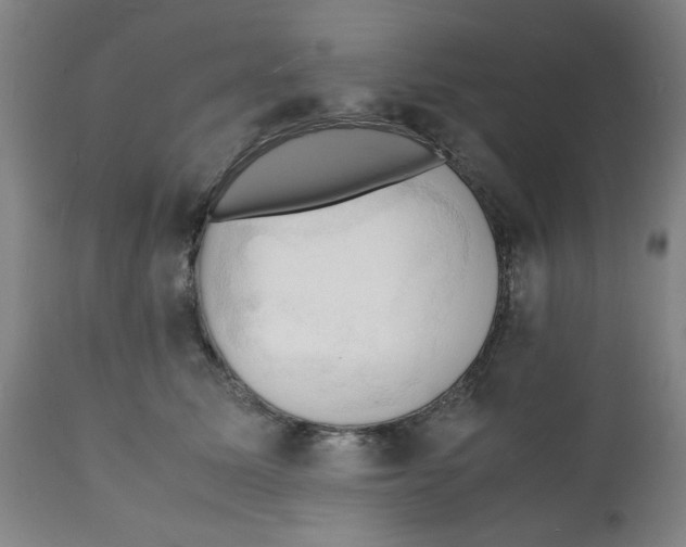 X0000112150611200909181425
