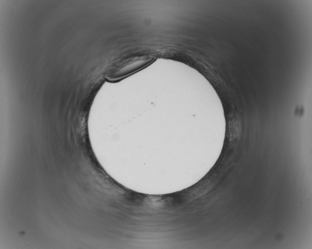 X0000112150613200909181425