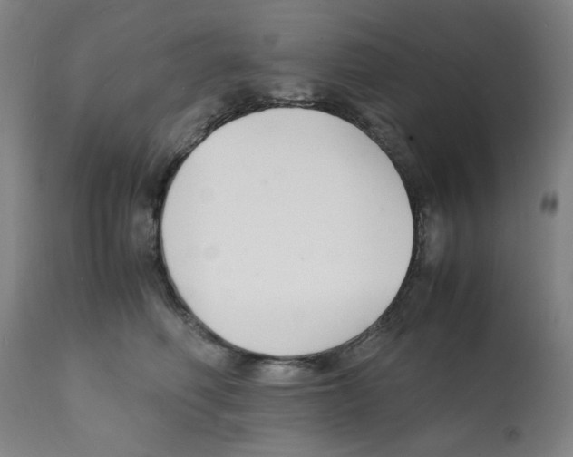 X0000112150614200909181425