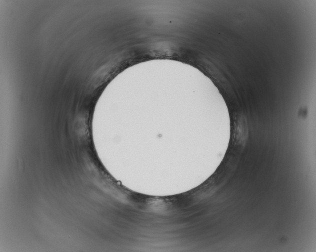 X0000112150616200909181425