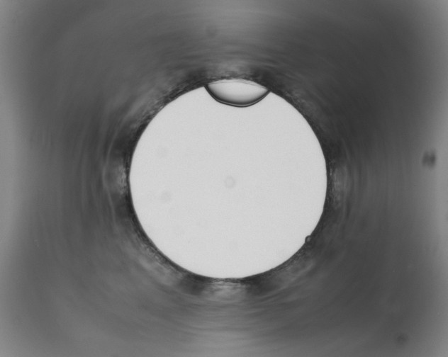 X0000112150617200909181425