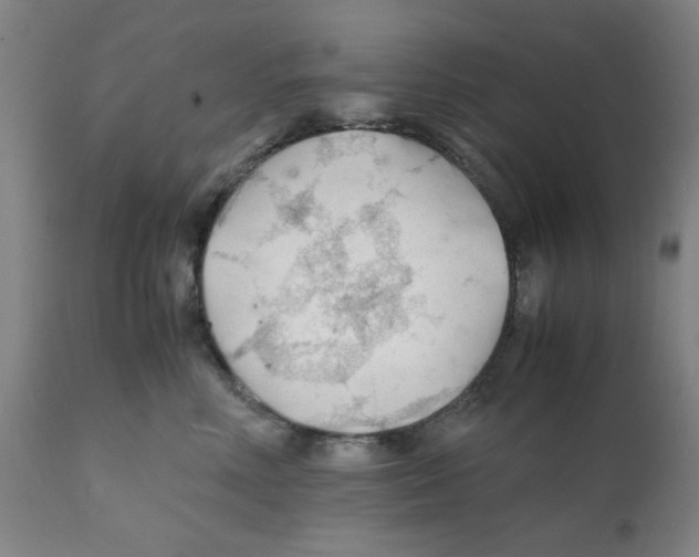 X0000112150618200909181425