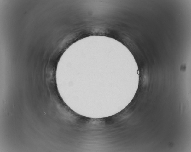 X0000112150619200909181425