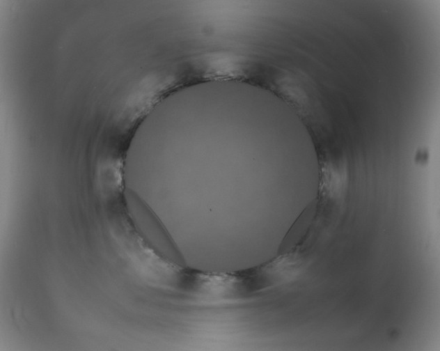 X0000112150621200909181425