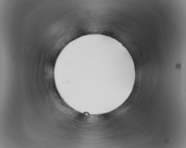 X0000112150623200909181425