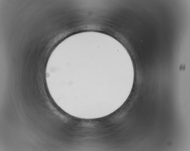 X0000112150625200909181424
