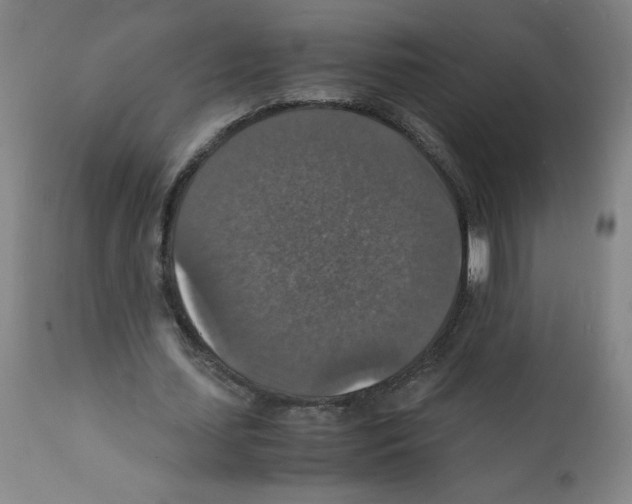 X0000112150627200909181424