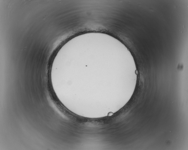 X0000112150630200909181424