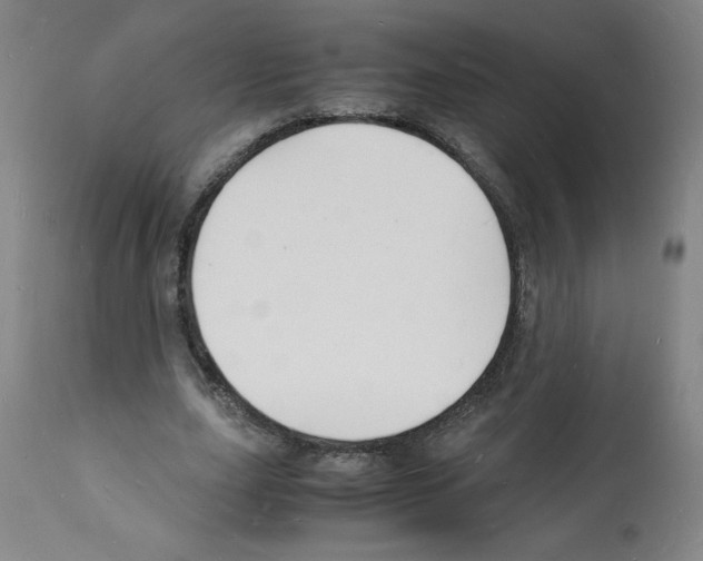 X0000112150631200909181424