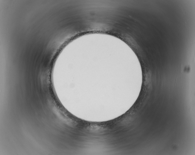 X0000112150632200909181424
