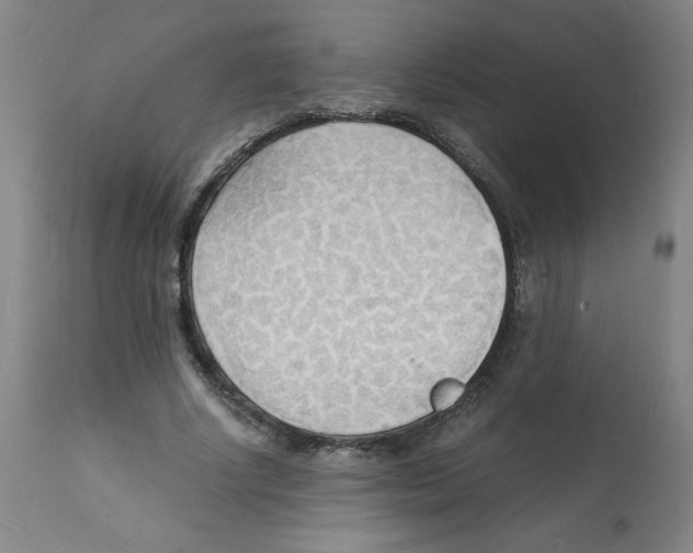 X0000112150634200909181424
