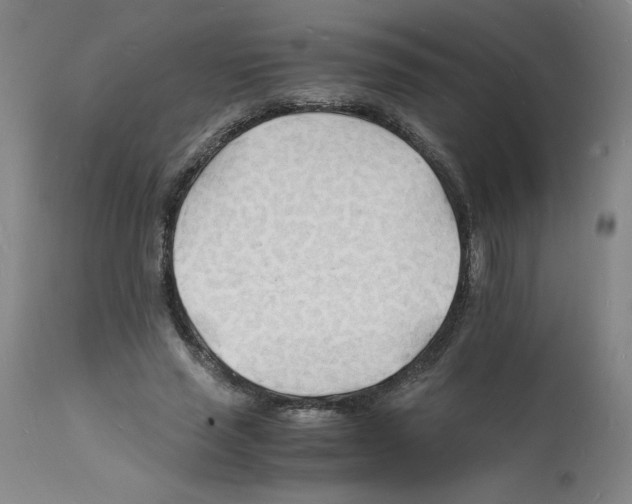 X0000112150637200909181424