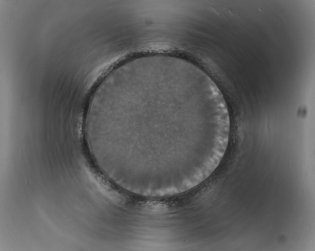 X0000112150640200909181424