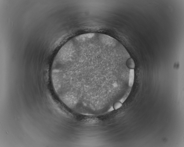 X0000112150642200909181424