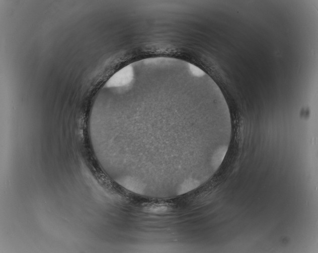 X0000112150643200909181424