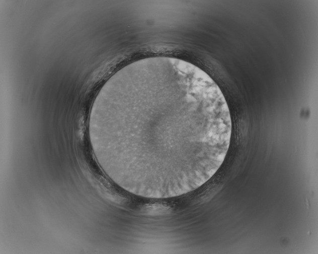 X0000112150644200909181424