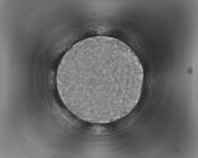 X0000112150650200909181424