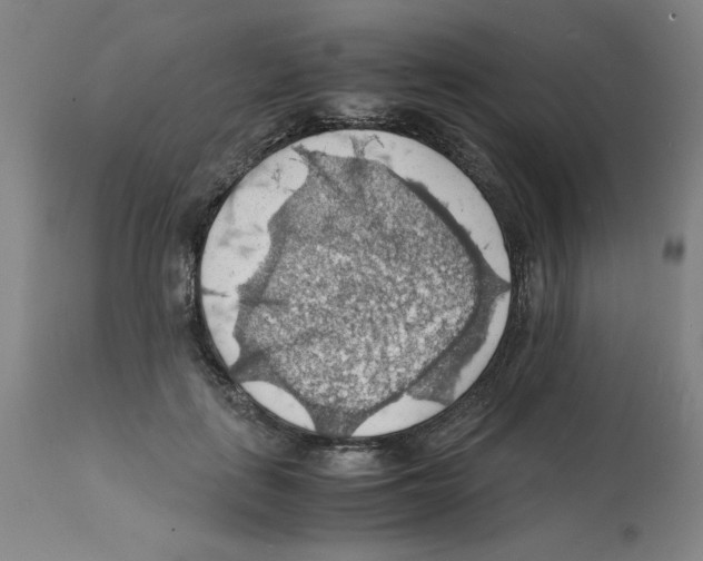 X0000112150651200909181424