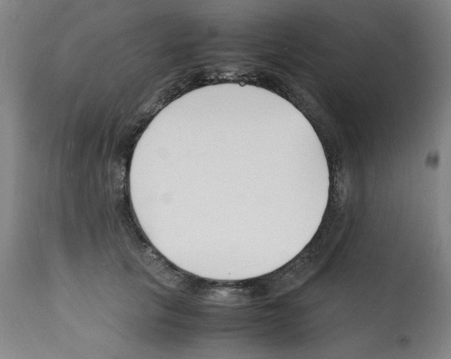 X0000112150657200909181424