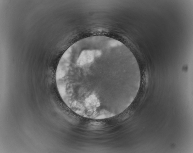 X0000112150659200909181424