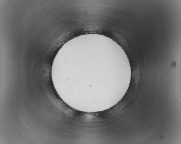 X0000112150662200909181424