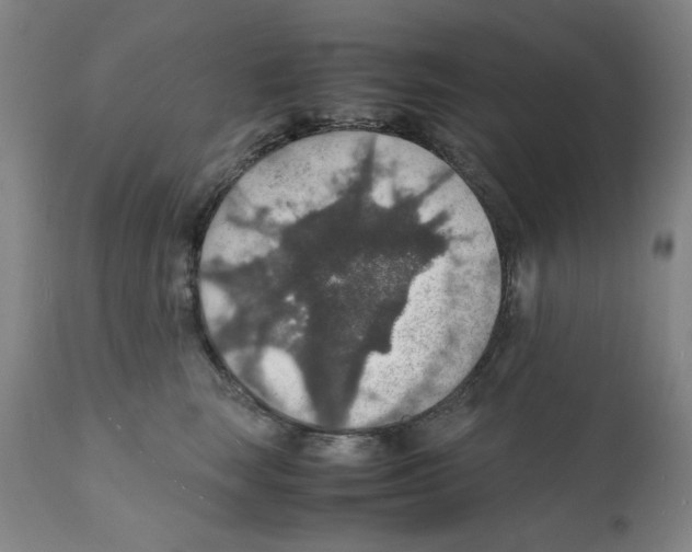 X0000112150663200909181424