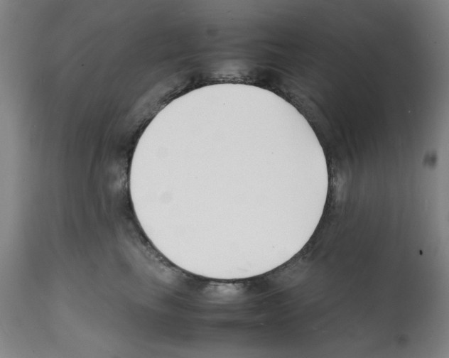 X0000112150665200909181424