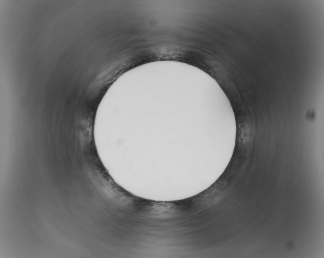 X0000112150666200909181424