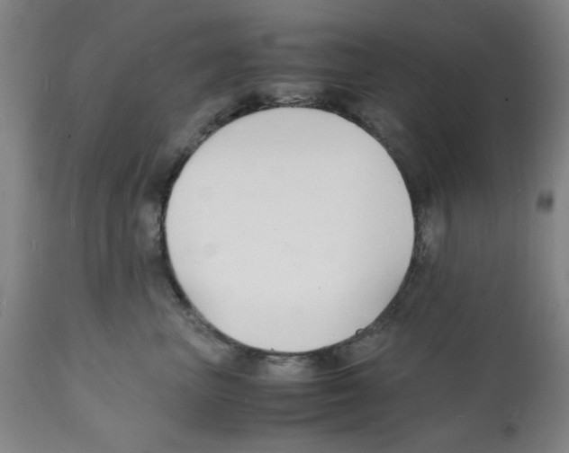 X0000112150667200909181424