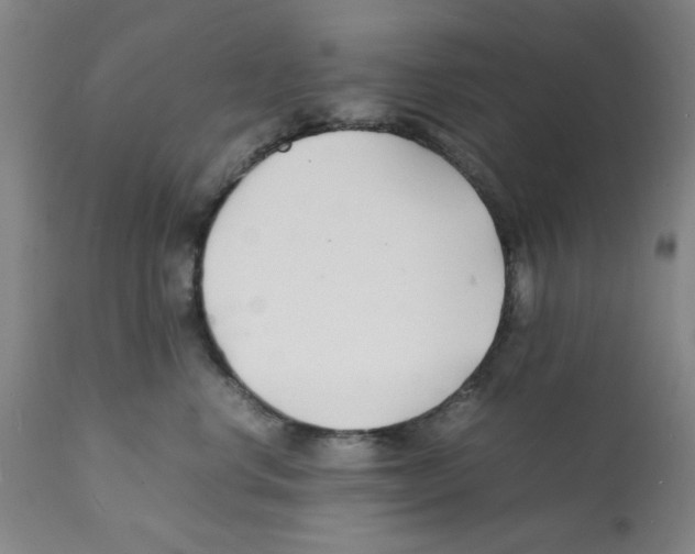 X0000112150668200909181424