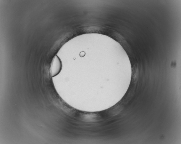 X0000112150669200909181424