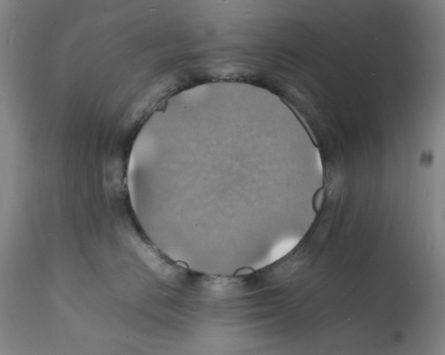 X0000112150670200909181425
